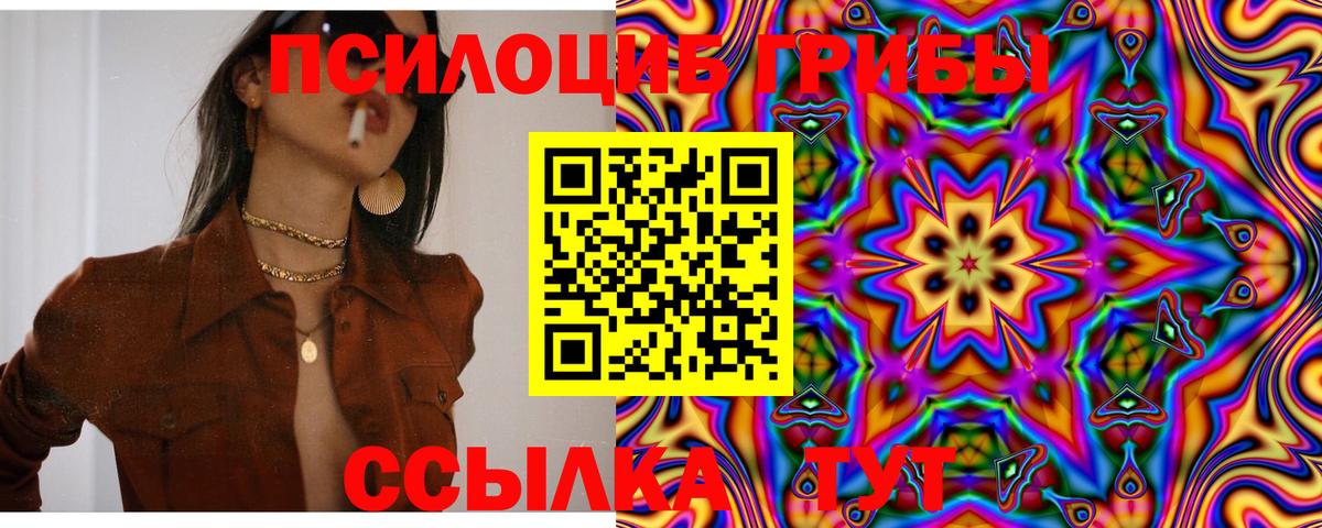 Медногорск  Псилоцибиновые грибы мицелий  Вход с VPN 